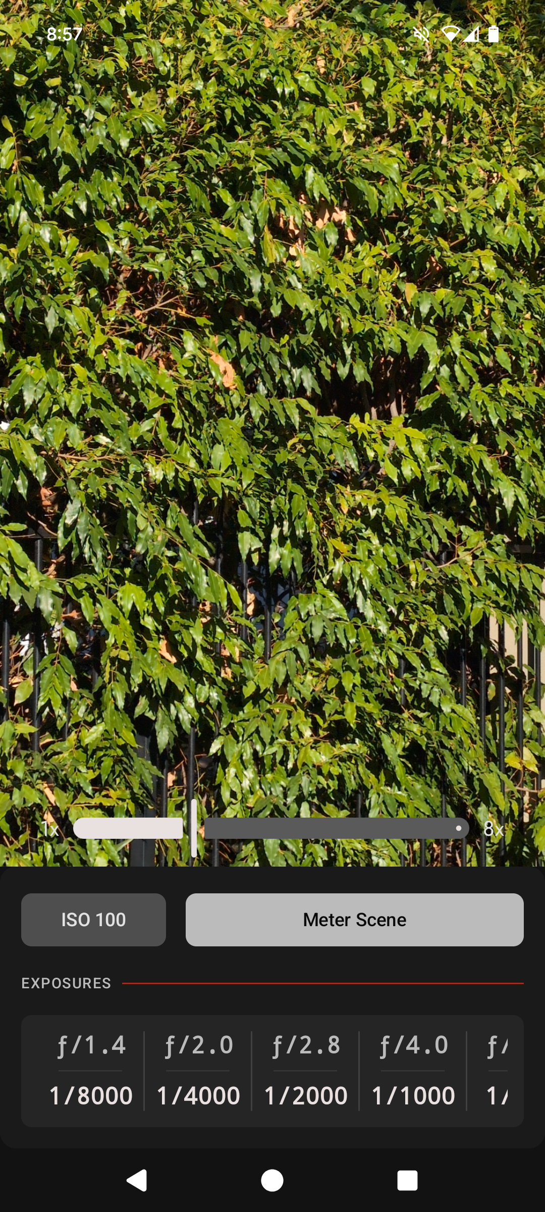 Black + White Preview Screen